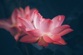 Obituary of Gayle Lynn Key