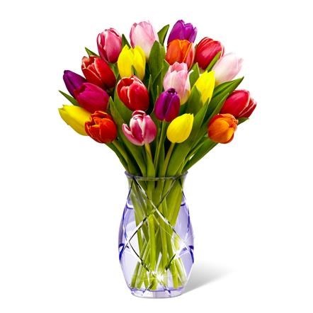 Obituary of Patricia Mary Noel