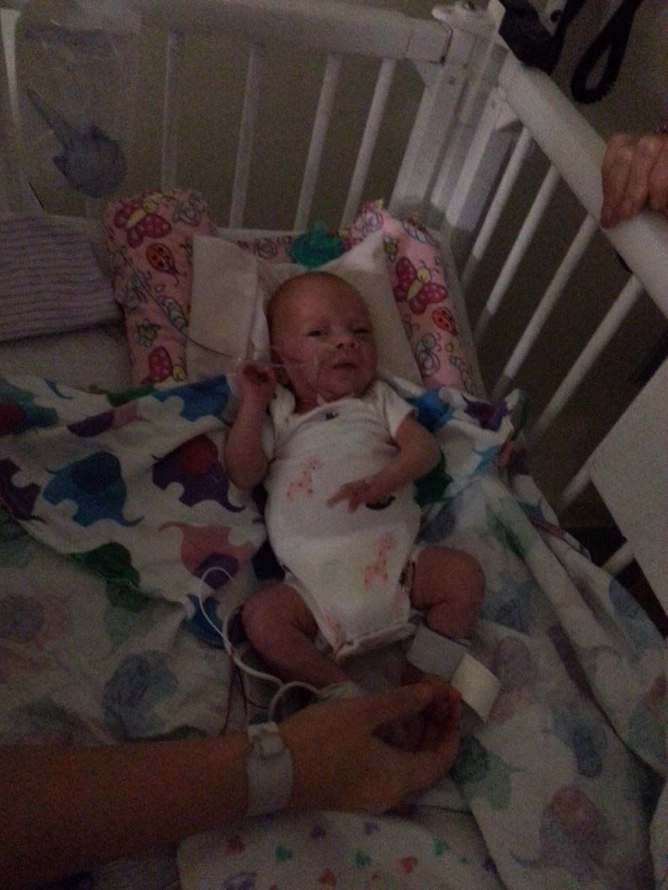 Obituary of Annalynn Elaine Rose