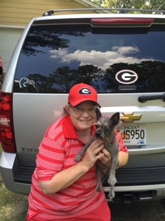 Obituary of Karen Stafford Saye