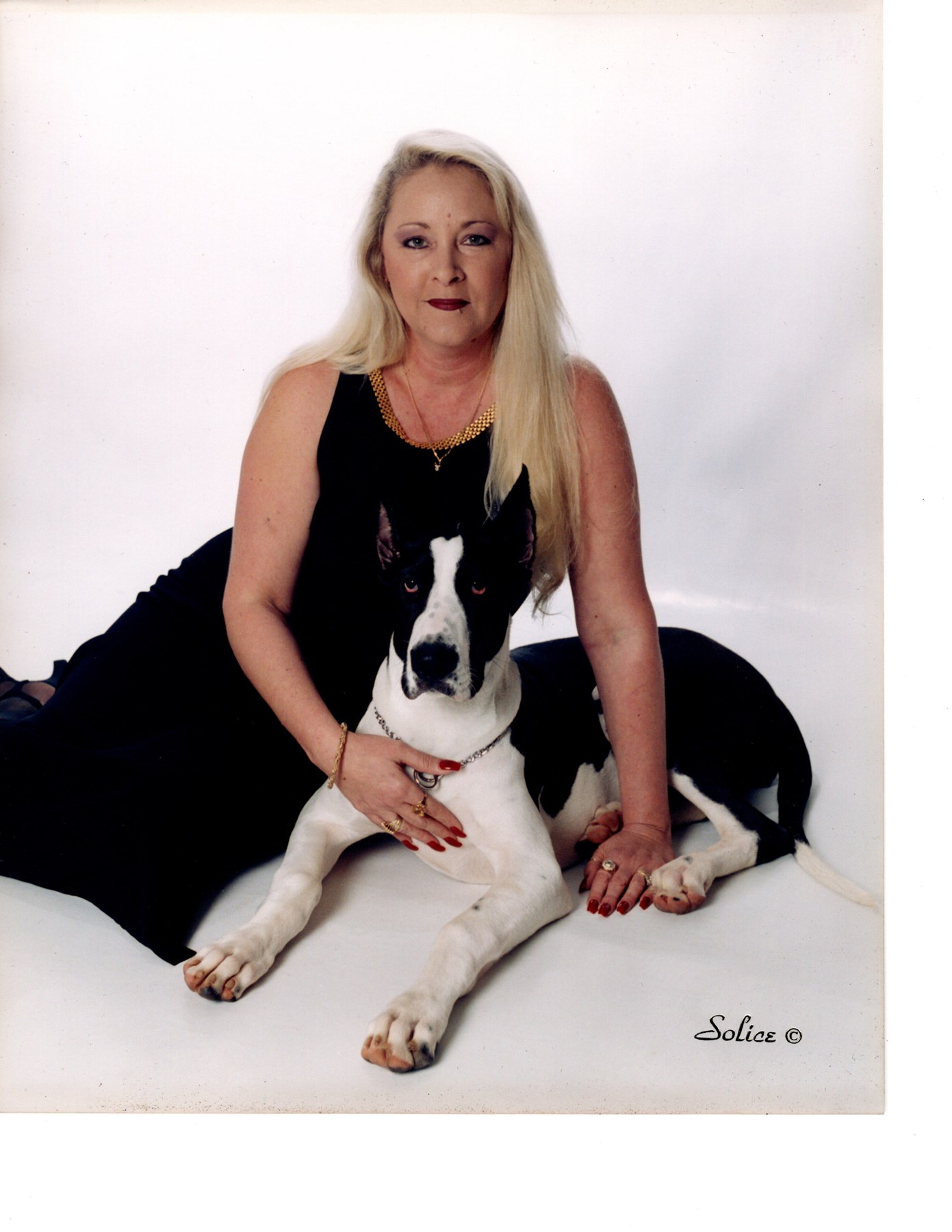 Thelma lou's hot sale pampered pets