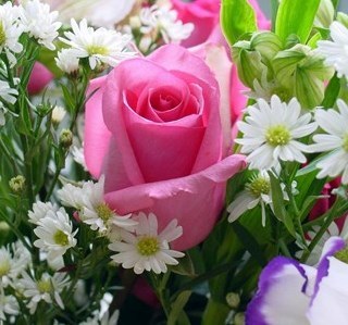 Obituary of Eva Lee Davis