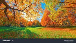 Obituary of Henri Robert van Adelsberg