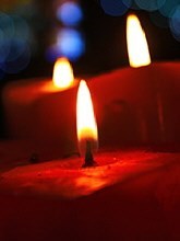 Obituary of Donald K. Schnell