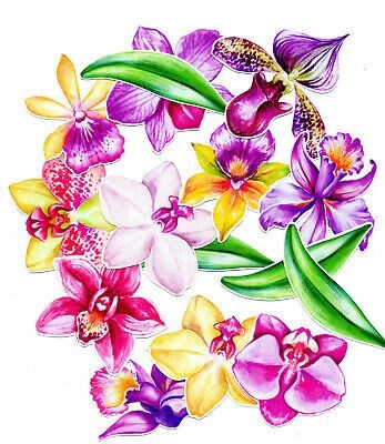 Obituary of Pearl B. Herrera