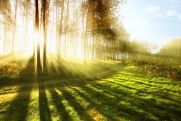 Avis de décès de Duncan James McIntosh