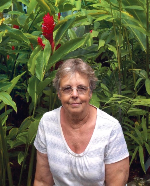 Obituary of Marilyn Kay Moore