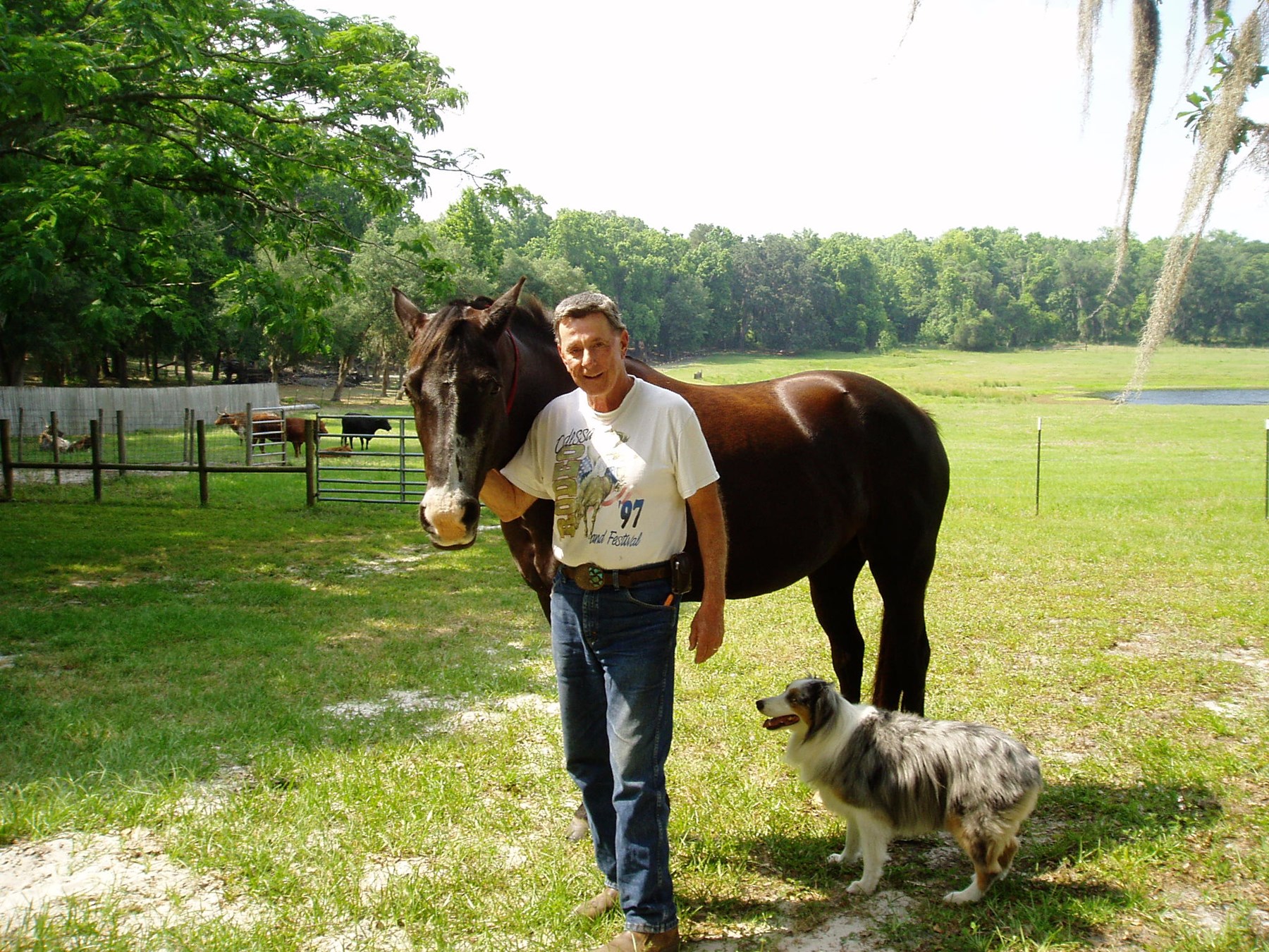 Obituary of Michael Vincent Catena