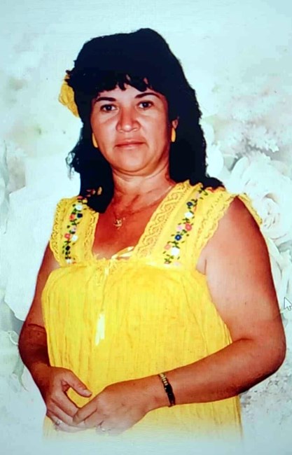 Obituary of Sylvia Parra Olguin