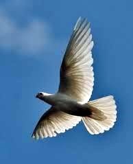 Obituary of Frank George Bates