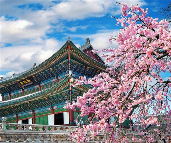 Obituary of Nenita Nobleza Holsey