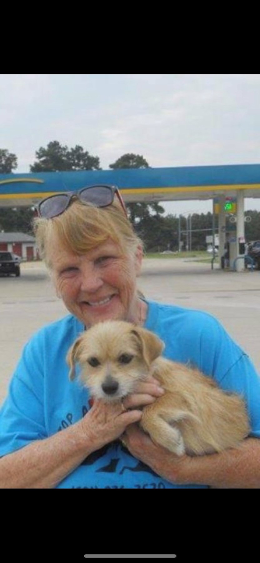 Obituario de Mary Ann Taft