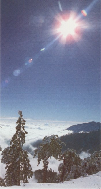 Obituary of Michael John Raymond