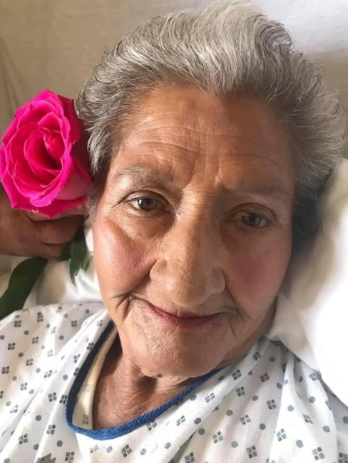 Obituary of Virginia Quintana Hernandez