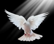 Obituary of Alice Diaz