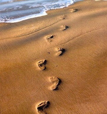 Obituary of Magdalena Carrillo Ortiz