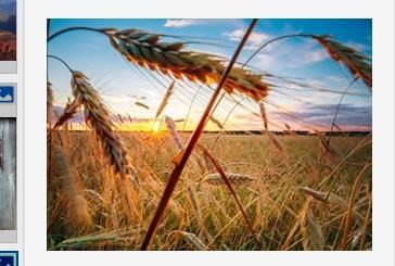 Obituary of James Owen Washman Jr.