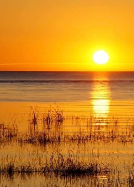 Obituary of Daniel Edward Davies