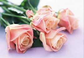 Obituary of Jennie M. Geradi