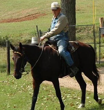 Obituary of Mr. "F. G." Longley