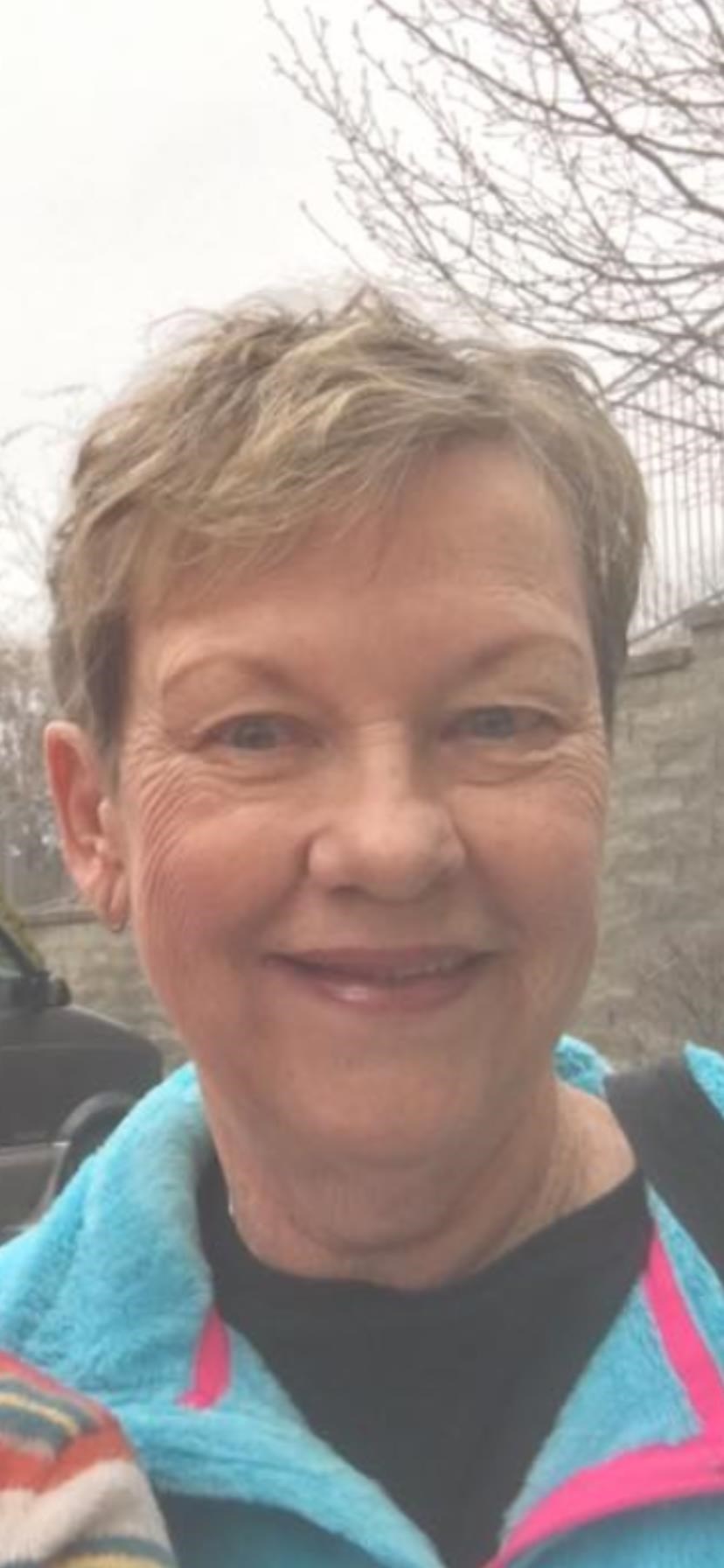 Obituary of Carol Lynn Bergman