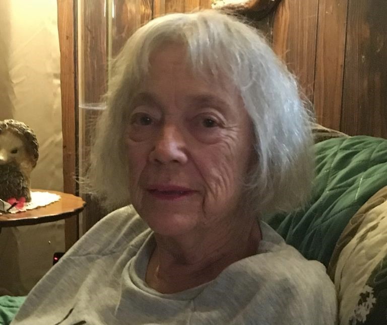 Obituary of Diane Barbara Wendt