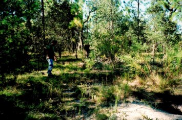 Obituary of Jeffrey A. Groomes