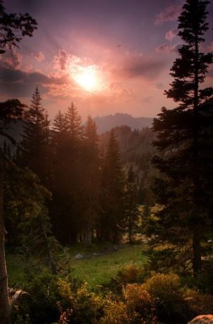 Obituary of Alice H Ruiz