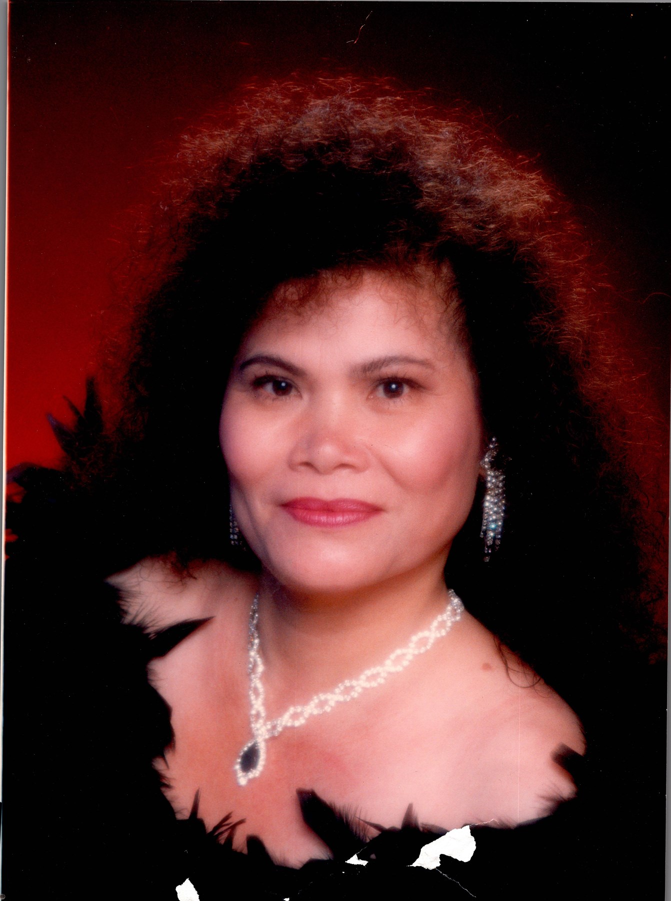 Obituary of Vilma Rodel Holmes