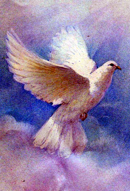 Obituary of Janet Zoeller