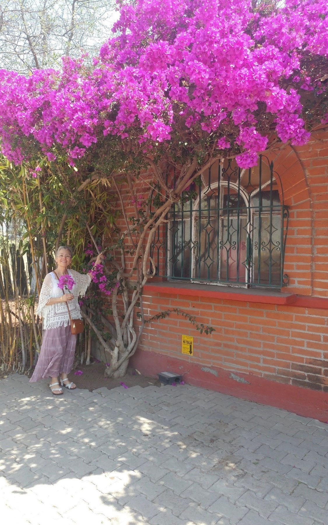 Obituary of Maria del Carmen Aleman