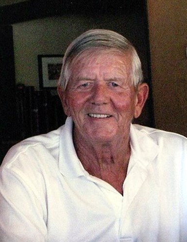 Obituary of Albert A Novak Jr.