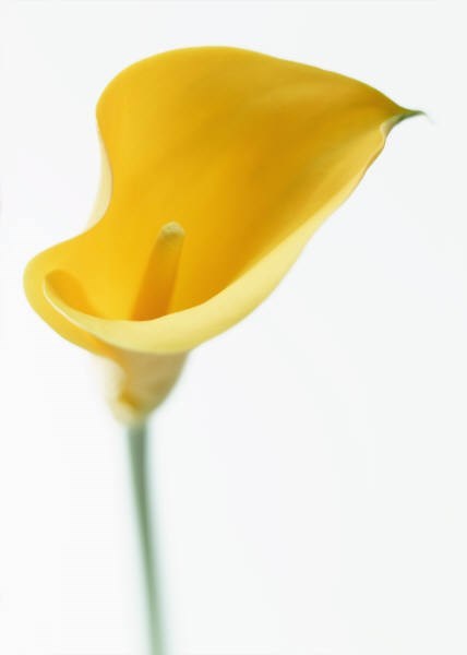 Obituary of Katherine Agnes Marie Anderson