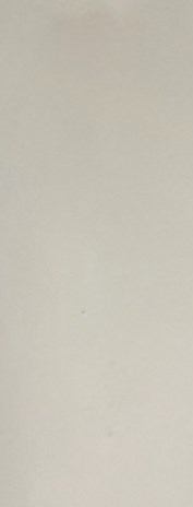 Randy Roland Obituary - Tallahassee, FL