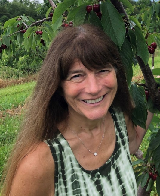 Obituary of Rose De Vita