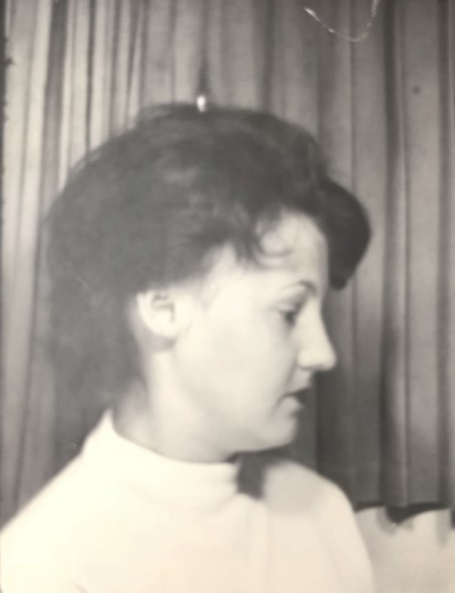 Obituary of Renee Carolann Surine