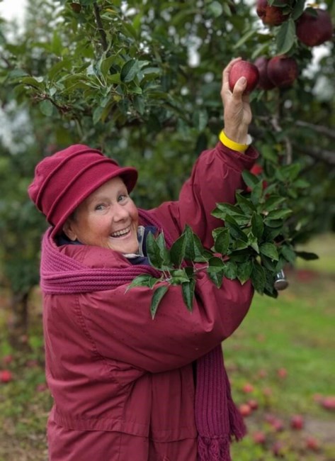 Obituary of Harlow H Reynolds