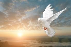 Obituary of Jim Smith Jr.