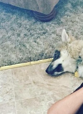 Joseph Riley Obituary - Redding, CA