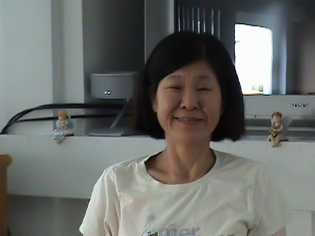 Obituary of Sun Hui DeWitt