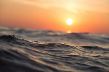 Obituary of Joe Chong Lee