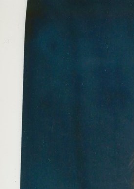 Donald Fortune Obituary Bradenton, FL