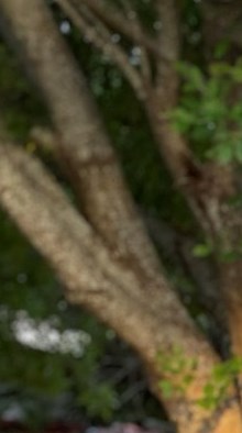 Fran Rolon Francisco De Santiago Rolón Obituary - San Juan, PR