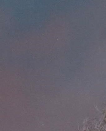 Alexandria Daily Town Talk Obituaries