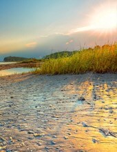 Obituary of Natalia Christine Moore