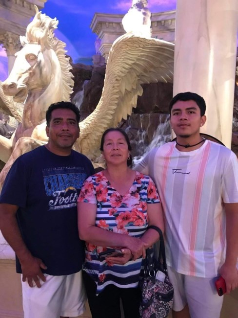 Obituary of Rosa Saucedo Negrete