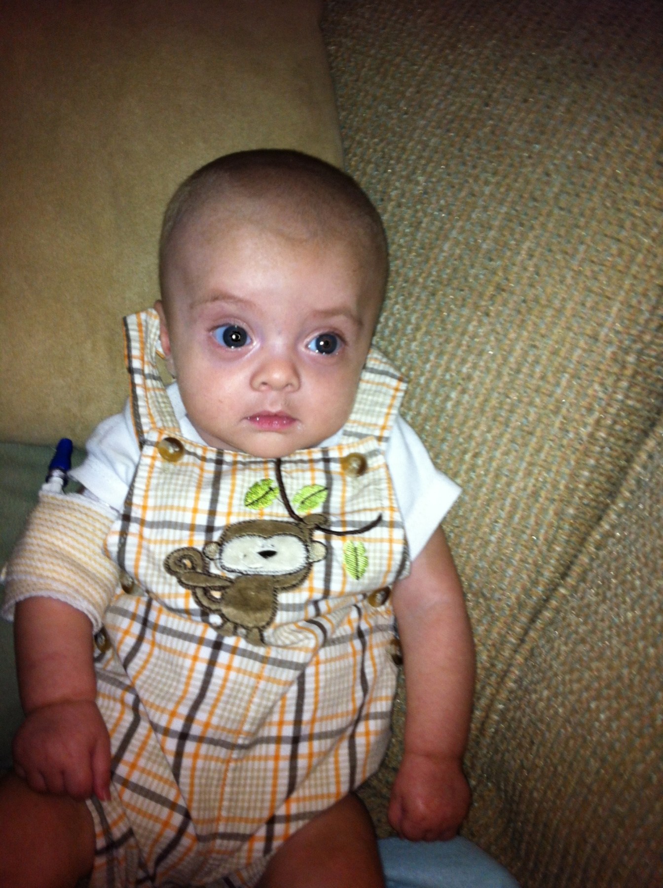 Obituary of Jacob Donovan Petriak