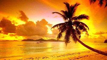 Obituary of Nancy Grace Wray Johnson