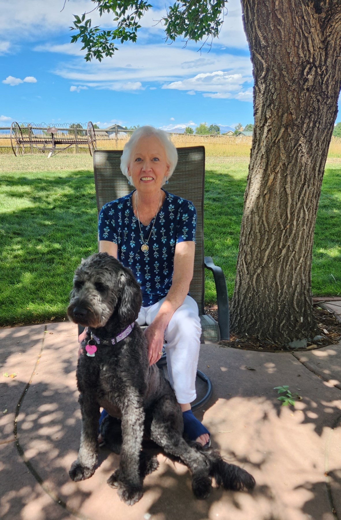 Obituary of Janet Eileen Behel