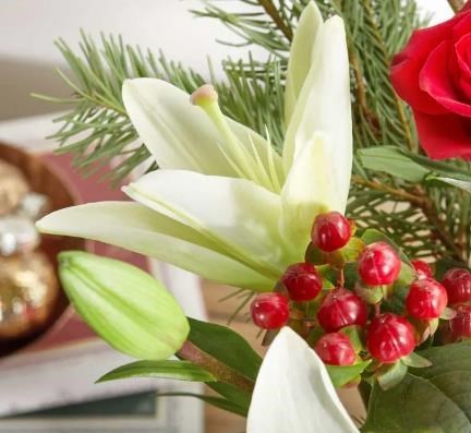 Obituary of Patty Lynn Johnson